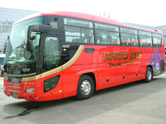 stsg_wnt_j_1