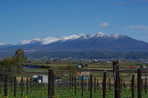 カンパーナからの景色