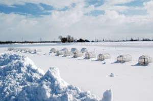 2016winter_I01
