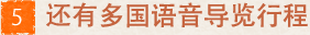 多言語対応コースあり
